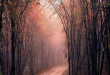 NG体育：厄德高：欧冠对阵老东家皇马很特别，但现在专注于对切尔西.