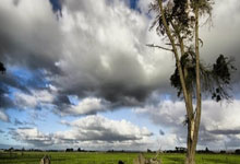 NG体育：“抢七”女王！郑钦文开局连得5分+轰出再见ACE.