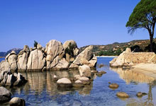 日本球员打对手11-0！后者气急败坏怒摔球拍 裁判不惯着给黄牌警告.